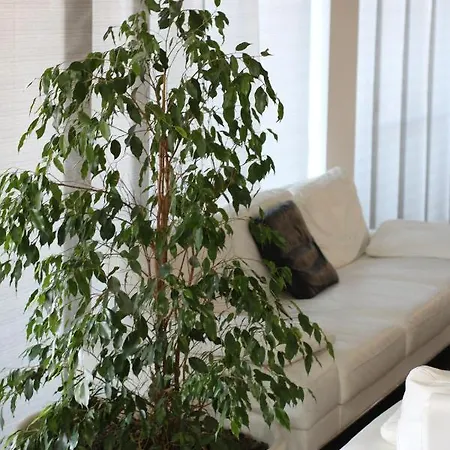 Hotel Quadrifoglio